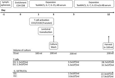 GMP-Compliant Manufacturing of TRUCKs: CAR T Cells targeting GD2 and Releasing Inducible IL-18